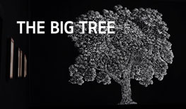 The big tree