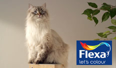 Flexa – Verfpakket