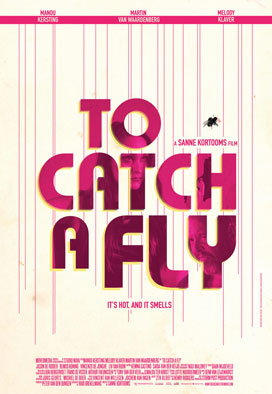 to catch a fly