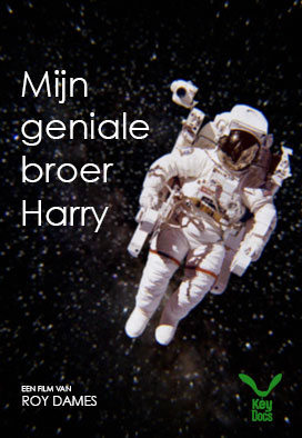 Mijn geniale broer Harry
