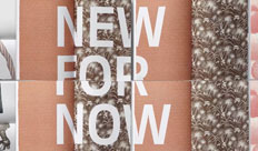 Rijksmuseum – New for Now